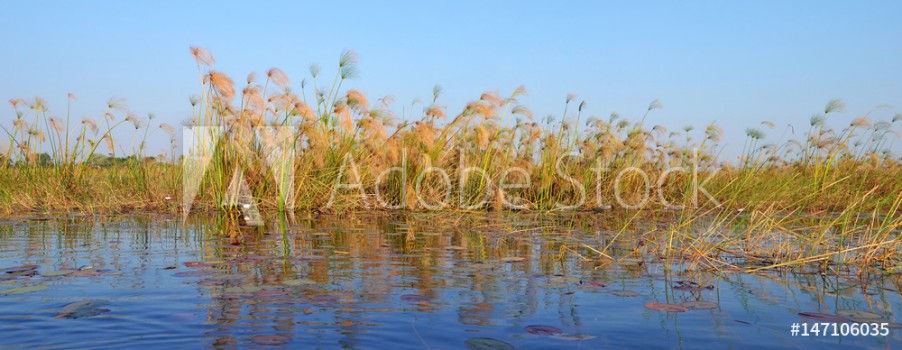 Bild på Okavango Delta